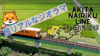 超リアルなジオラマ: 秋田内陸線-Akita Nairiku line【 Nゲージ / 鉄道模型 / ジオラマ】