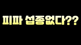 피파 섭종없다?? 뻥치지 마세요!!