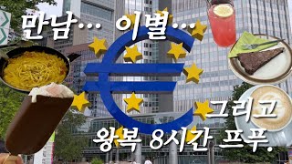 🇩🇪교환학생 vlog | 한국에서 온 친구 대접하기, 한국으로 떠나는 친구 배웅하기, 왕복 8시간 광기의 프랑크푸르트 당일치기