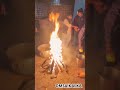 lohri celebration