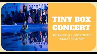 Milou de Meij: Tiny Box Concert