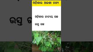 ଓଡ଼ିଶାର ଅଜଣା ତଥ୍ୟ ❤️🤷‍♂️//WHATSAAP STATUS......#study #studymotivation #odia