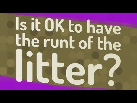 Is it OK to pick the runt of the litter?