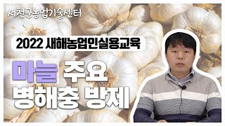 2022 새해농업인실용교육 [마늘]