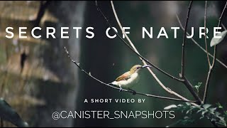 Secrets Of Nature | lockdown days | Nature | Canister_snapshots|പ്രകൃതി.... അവൾ എത്ര സുന്ദരിയാണ്!..