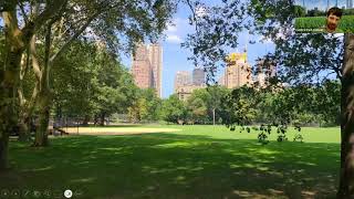 Weekly Walk: Constructing Central Park