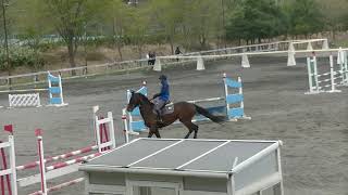 第49回関東学生馬術新人競技大会　フレンドシップ90cm　水田先輩 麻駿