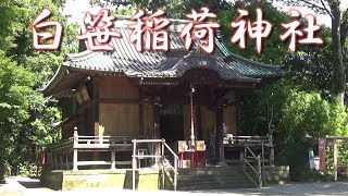 白笹稲荷神社と萌えキャラ『白笹すずな』の絵馬　秦野市今泉