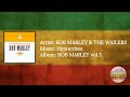 Bob Marley & The Wailers - Hypocrites [lyrics]