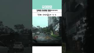 기막힌 타이밍 모음 #웃긴영상 #유머 #웃긴짤