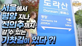 서울에서 평양을 지나 신의주까지 연결된 기찻길이 있다?? / YTN 라이프