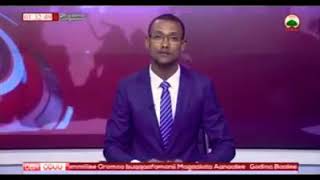 Lammilleen oromo naannoo somalee irraa buqqa'aniif mannii jireenya jaraamuf hal dureen egalame 2018