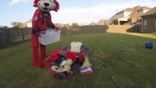 Huntsville Havoc's Rukus accepts ALS Ice Bucket challenge