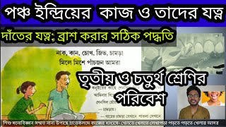 পঞ্চ ইন্দ্রিয়ের কাজ ও যত্ন ; দাঁতের যত্ন/ ৩য় ও ৪র্থ শ্রেণীর পরিবেশ Five Sensory Organs/Curtsy