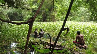 SE02EP049 Part 3 - BUWIS BUHAY sa ILALIM ng mga MAKAKAPAL na Water Lilies - Tiaong Quezon