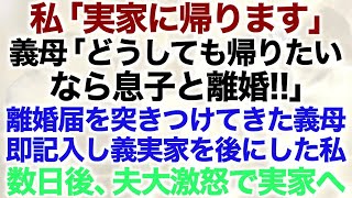 【スカッとする話】私「実家に帰ります」義母「どうしても帰りたいなら息子と離婚！！」離婚届を突きつけてきた義母即記入し義実家を後にした私数日後、夫大激怒で実家へ…【修羅場】