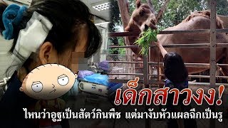 ข่าวเที่ยงช่องวัน | อูฐงับหัวเด็กบาดเจ็บ จนท.เร่งเพิ่มมาตรการป้องกัน | ข่าวช่องวัน | ช่อง one31