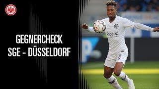 Gegnercheck | SGE - Fortuna Düsseldorf