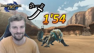 Tiny Zinogre Speedrun Longsword MHRise