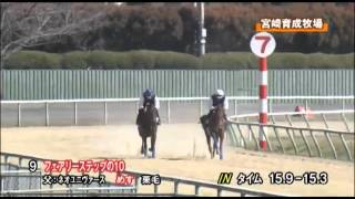 【2012 JRAブリーズアップセール】09 フェアリーステップの2010(3/14)