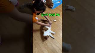 이 시대의 진정한 순둥남 고양이^^