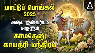 Mattu Pongal 2025 Special Kamadenu Gayathri Manthram