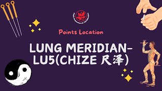 Points location and needling-Lung Meridian-LU5 Chize 尺泽穴取穴及针刺