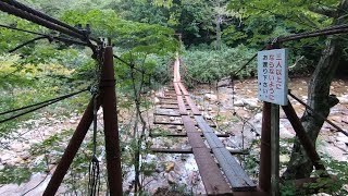 祝瓶山 野川に架かる吊橋を渡る