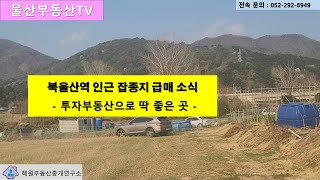 [울산부동산TV] 북울산역 근처 잡종지 급매관련 2023년4월초 현황 영상입니다.