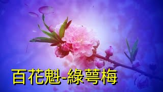 YPT31《百花魁-綠萼梅》心靈音樂｜休閒音樂｜佛教音樂｜禪修音樂｜太極拳背景音樂＞無痕加長珍藏版