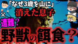 【ゆっくり解説】3歳児がハイキングで野獣ピューマに襲われた⁉️マスコミが捜索隊を掻き乱し大混乱『ジャリド・アタデロ失踪事件』