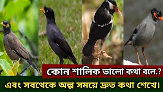 কোন শালিক পাখি ভালো কথা বলে | কোন প্রজাতির শালিক সবচেয়ে দ্রুত কথা শিখে | Maina Bird | @HobbyPets