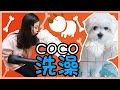 Let's take a bath with coco! | Xiaoling toys