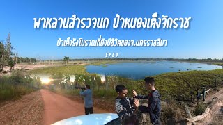 พาหลานชายสำรวจนกป่าหนองเต็ง-จักราช ว้าวดีกว่าที่คิด #ดูนก #birdsthailand #nature Ep 69