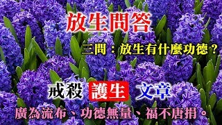 放生問答 三問“放生有什麼功德？”