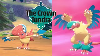 How To Catch Archen In Pokemon Sword and Shield Crown Tundra + How To Evolve Archen