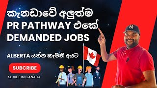 Demanded Jobs in Alberta for the upcoming new PNP😍කැනඩාවේ අලුත්ම PR PATHWAY එකේ Demanded Jobs #jobs