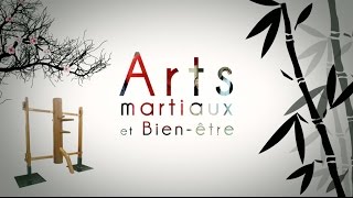 Arts martiaux et Bien-être (documentaire)