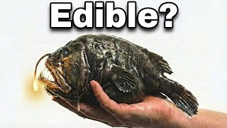 The Insane Biology of Lanternfish