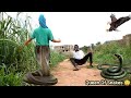 Queen Of Snakes 😳 (Full HD) | Ep1 | Mark Angel Comedy | FunnyBros | Yawa Skits | Sirbalo