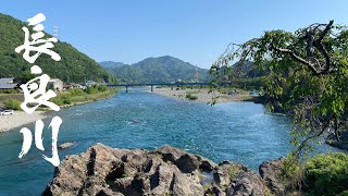 【GWの本流釣り】#2 長良川の本流アマゴ