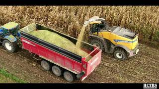 Mais hakselen 2020 | New Holland | Dezeure | Record | Caterpillar | Loonwerken Vereecke