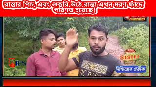 রাস্তার পিচ, এবং শুকরি,উঠে রাস্তা এখন মরণ ফাঁদে পরিণত হয়েছে!