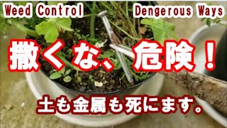 🌱除草（雑草対策）「安全」から「超危険な根絶やし」までを検証。土の再利用・地中のガス管・金属・地球環境保護・SDGｓを考えている方必見！Best and Worst Weed-Control Ways