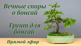 Вечные споры о бонсай. Грунт для бонсай.