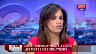 Invités: Jean-Jacques Mirassou, Hervé Novelli et Sylvie Goy-Chavent - Le 22H (16/07/2013)