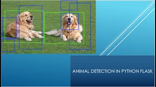 Animal detection in python| Python flask animal detection using machine learning |ML projects python