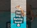 Desi dog barking sound || dog sound dog barking loud#shorts #viralshorts #trendingshorts