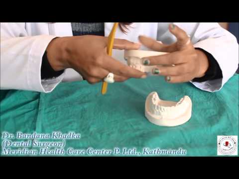 Oral Health Series-2 || दाँत माझ्ने तरिका || Dr. Bandana Khadka (Dental Surgeon) Oral Health Series-2 || दाँत माझ्ने तरिका || Dr. Bandana Khadka (Dental Surgeon)