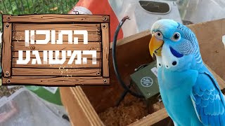 התוכונים שלנו הצליחו לכרסם את הכבל של המצלמת לייב שעקבה אחריהם